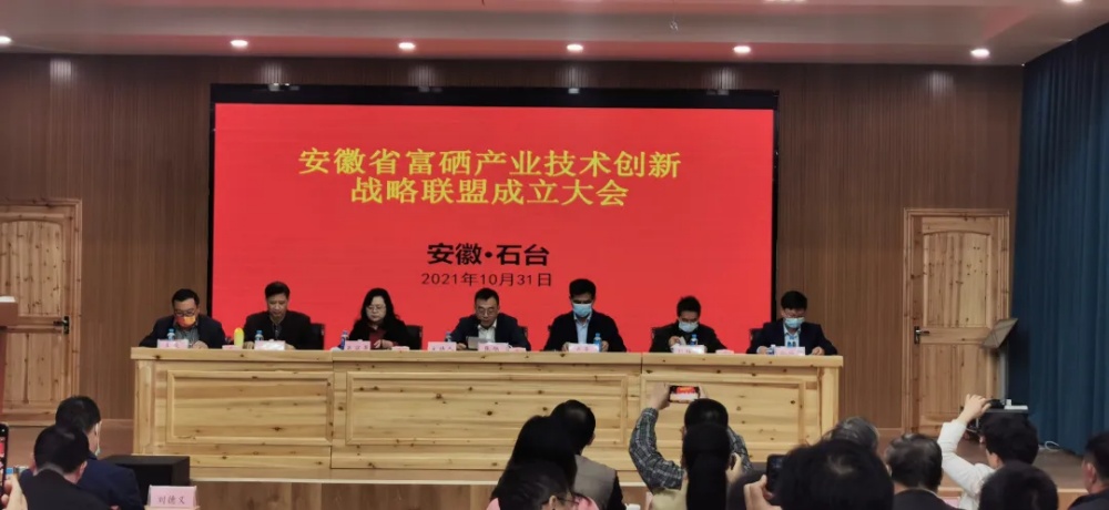 成立1_副本 成立1_副本