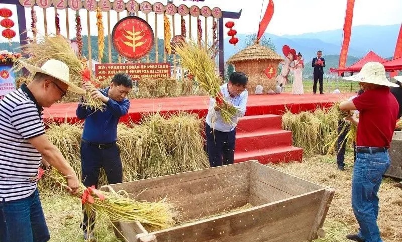 歡慶豐收1_副本 歡慶豐收1_副本