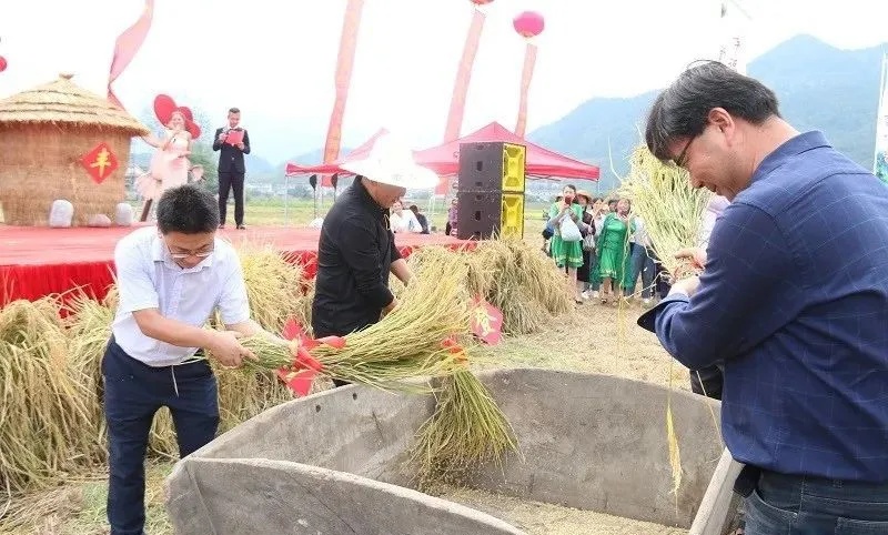 歡慶豐收2_副本 歡慶豐收2_副本