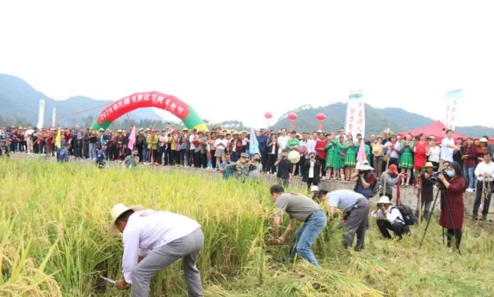 歡慶豐收8_副本 歡慶豐收8_副本