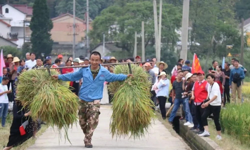 歡慶豐收10_副本 歡慶豐收10_副本
