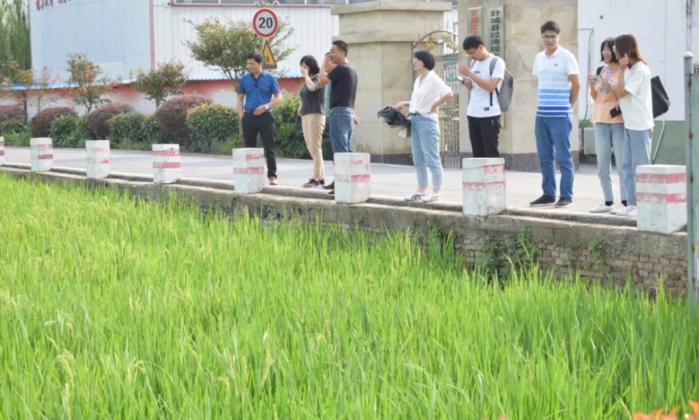 農(nóng)業(yè)大學(xué)1_副本 農(nóng)業(yè)大學(xué)1_副本