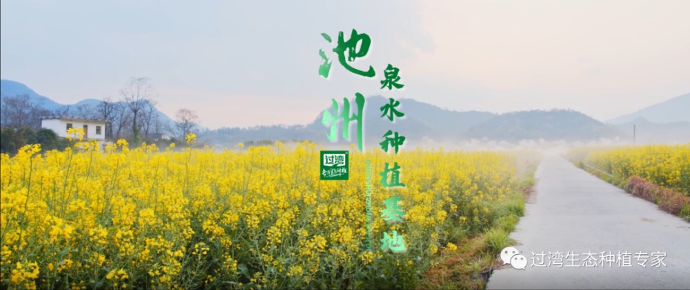 4_副本 4_副本
