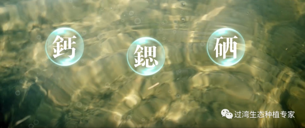 9_副本 9_副本