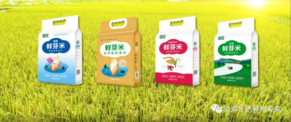 15_副本 15_副本