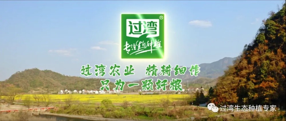 17_副本 17_副本