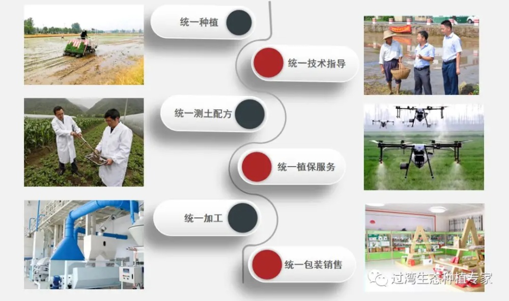 教授調(diào)研2_副本 教授調(diào)研2_副本