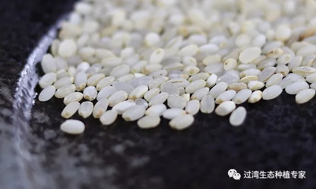 碾米機26_副本 碾米機26_副本