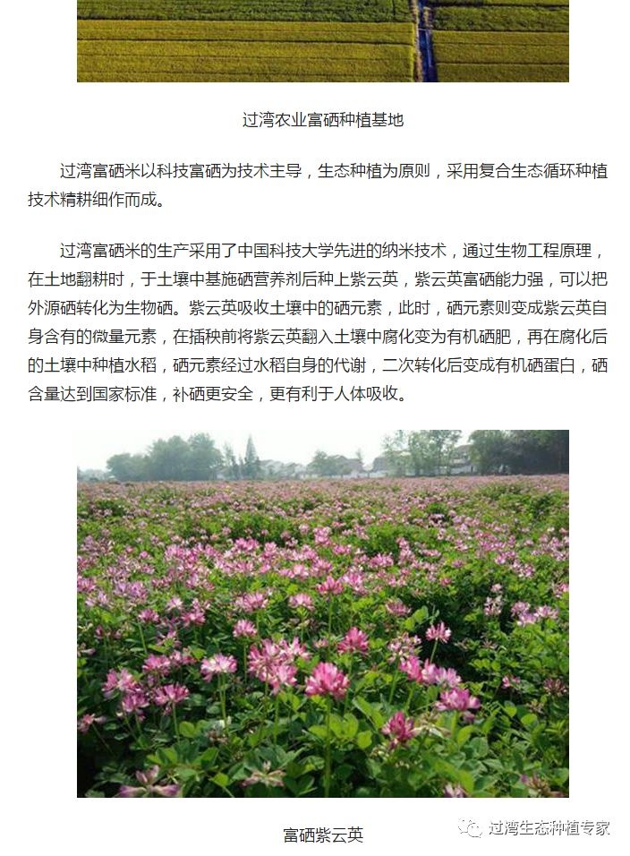 人民網(wǎng)1_副本 人民網(wǎng)1_副本