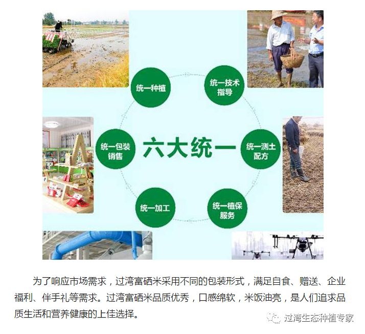 人民網(wǎng)3_副本 人民網(wǎng)3_副本