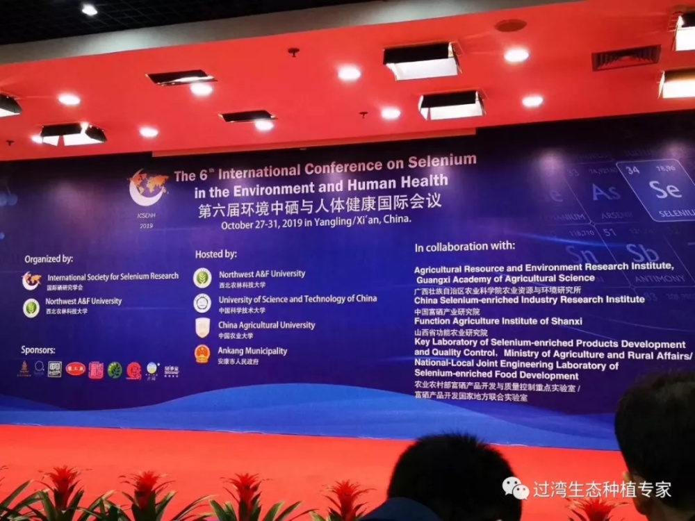 鮮芽米_副本 鮮芽米_副本