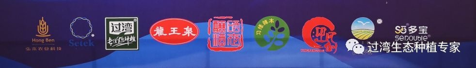 鮮芽米1_副本 鮮芽米1_副本
