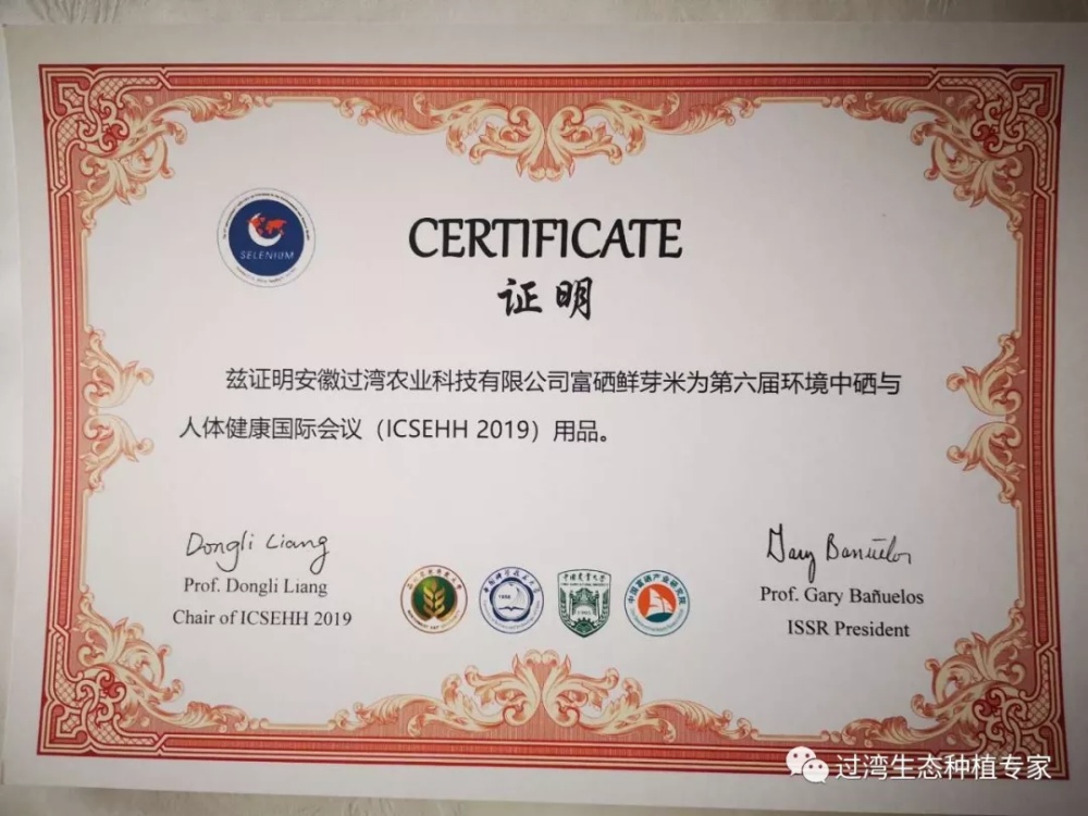 鮮芽米4_副本 鮮芽米4_副本