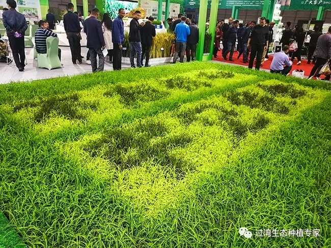 鮮芽米4_副本 鮮芽米4_副本