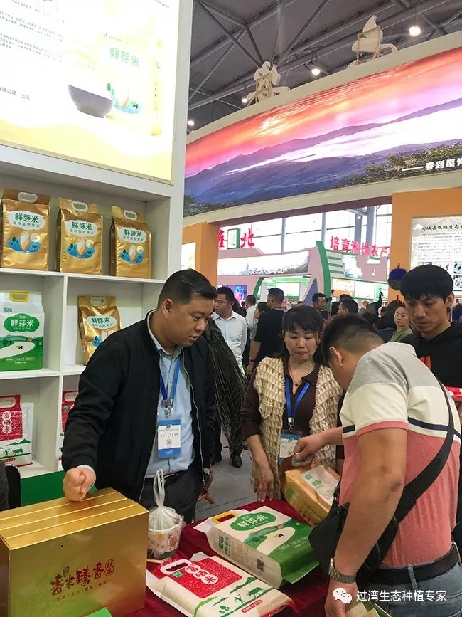 鮮芽米8_副本 鮮芽米8_副本