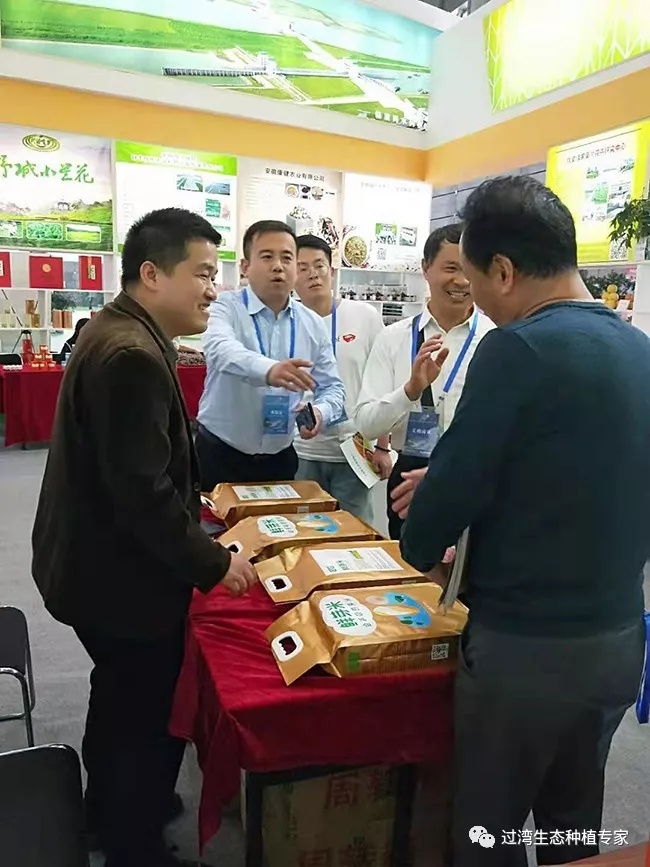 鮮芽米9_副本 鮮芽米9_副本
