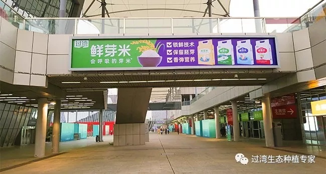 鮮芽米11_副本 鮮芽米11_副本