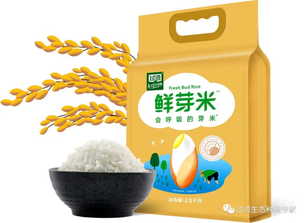 鮮芽米13_副本 鮮芽米13_副本