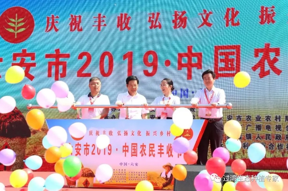 豐收節(jié)1_副本 豐收節(jié)1_副本