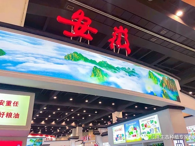 大會(huì)_副本 大會(huì)_副本