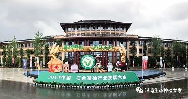 大會_副本 大會_副本