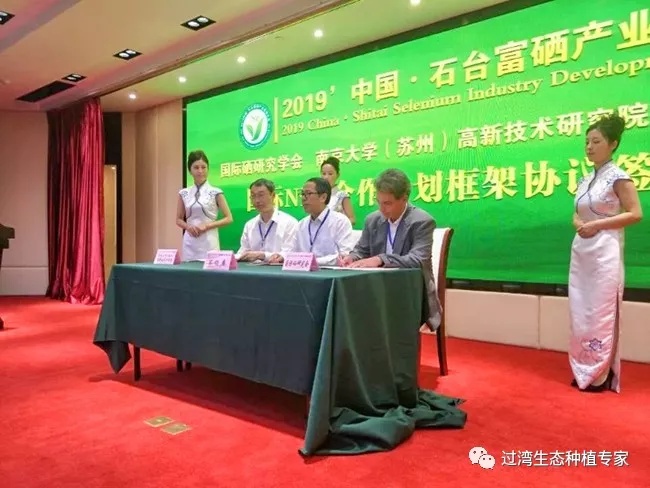 大會7_副本 大會7_副本