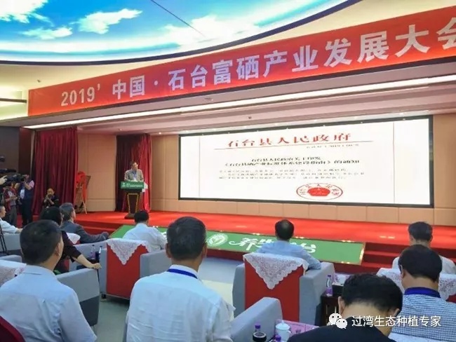 大會8_副本 大會8_副本