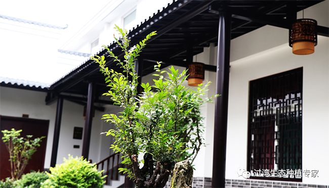 參觀5 參觀5