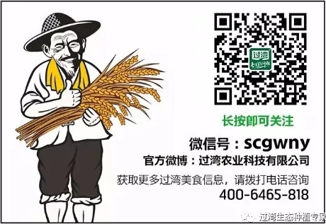 尾圖 尾圖