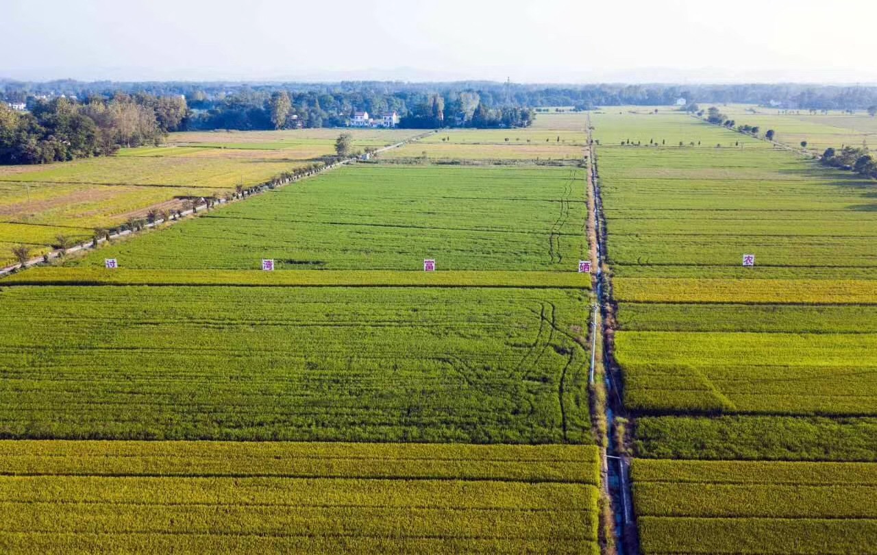 過灣富硒種植示范基地航拍圖 過灣富硒種植示范基地航拍圖